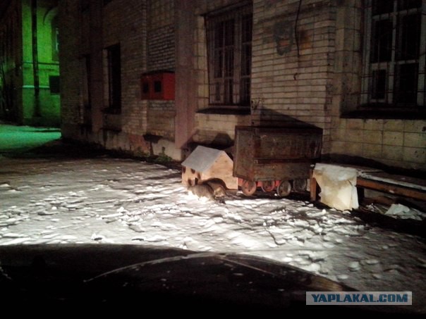 Как я дом строил