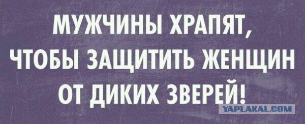 Весёлые картинки. Разбавим будни