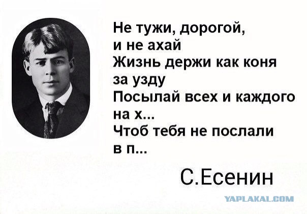 Смешные картинки