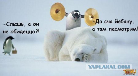 Когда меня неожиданно будит друг-придурок...