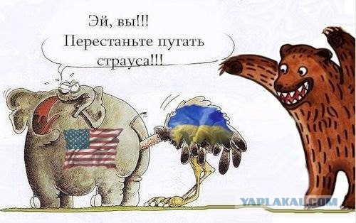 Страусосъём©