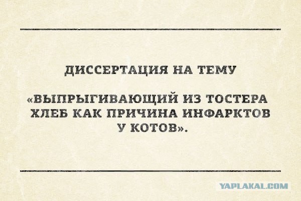 Немного позитива на пятницу