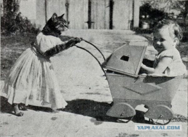 Текст и еще немного фотографий подтверждающих
