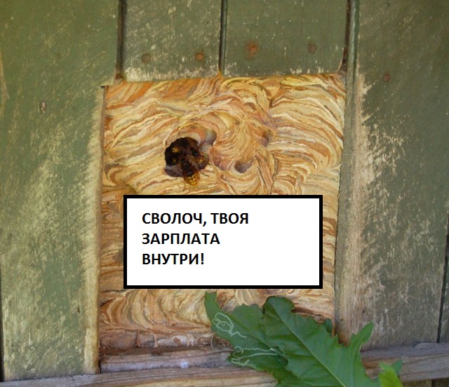 Самый надежный сторож!