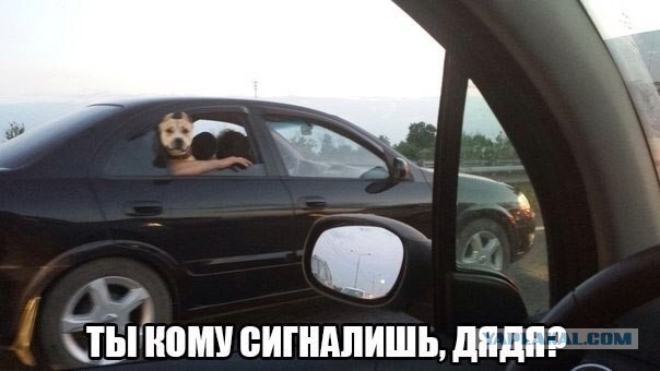Как я женился через интернет