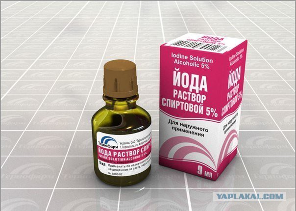 Хомо клиентос одноклеточный, или дайте всосать