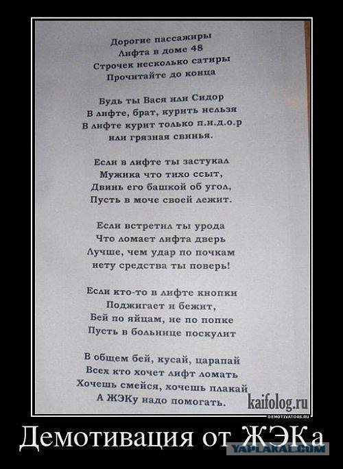 Весёлое из сети