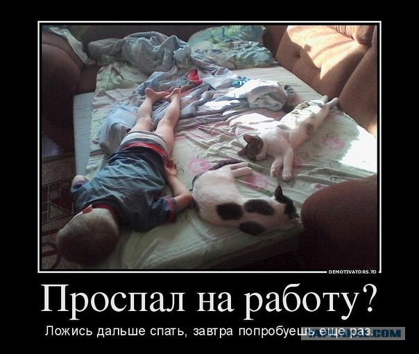 Картинки из этих ваших интернетов