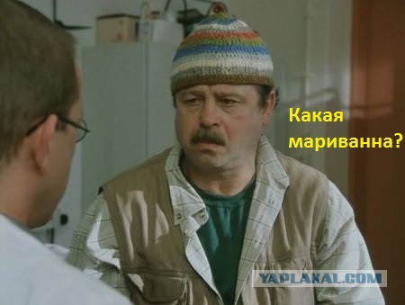 Марихуана в медицинских целях: 21 показание