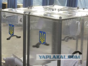 Урна раздора. Нарушения на выборах 2011