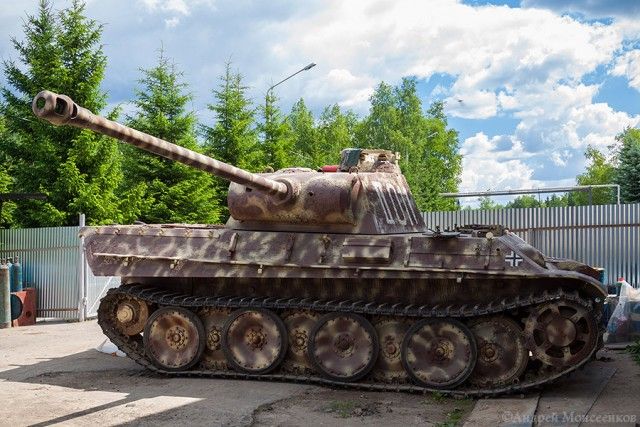Wargaming 24