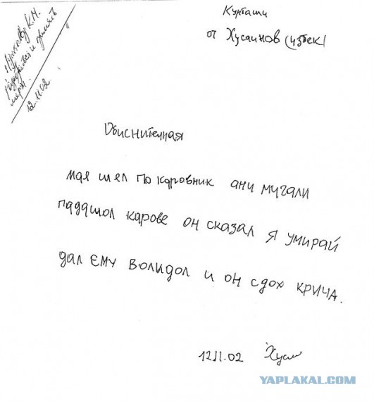 Я пездил поличиль