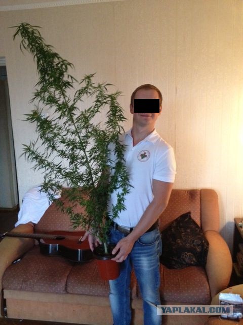 Американцы о дачах россиян!