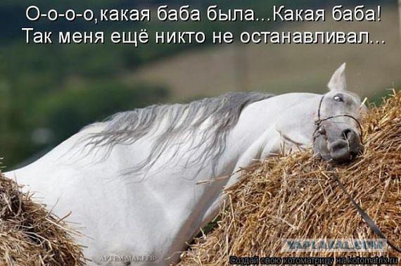 Смешные комментарии 18.10.2015