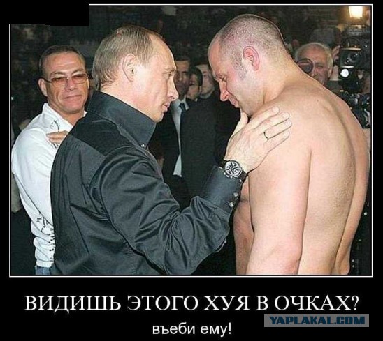 Картинки
