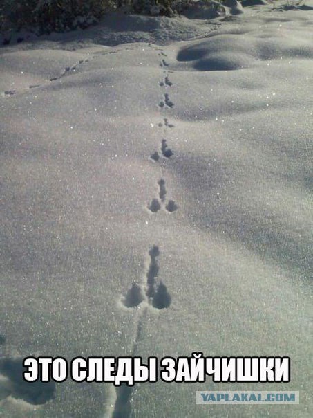 Зимняя сказка в Пермском крае (Россия,январь 2016)