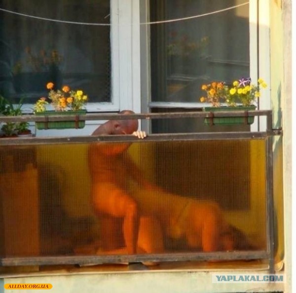 Очередная подборка картинок из сети