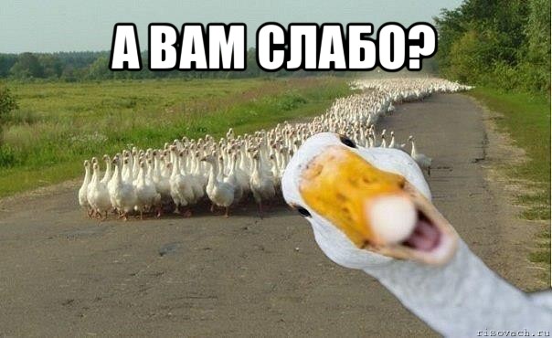 В семье норильского пожарного родился 14-й ребенок