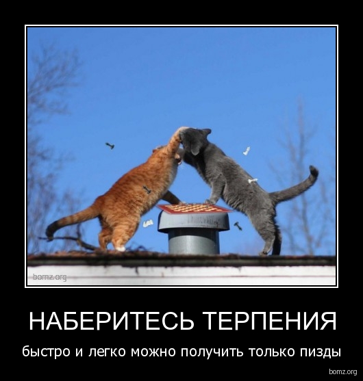 Картинки из сети