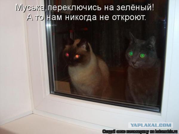 Смешные комментарии из социальных сетей 10.06.2016