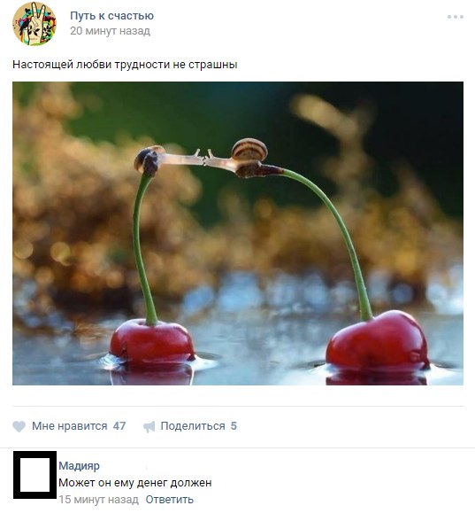 Ужасы и приколы из соцсетей 18+