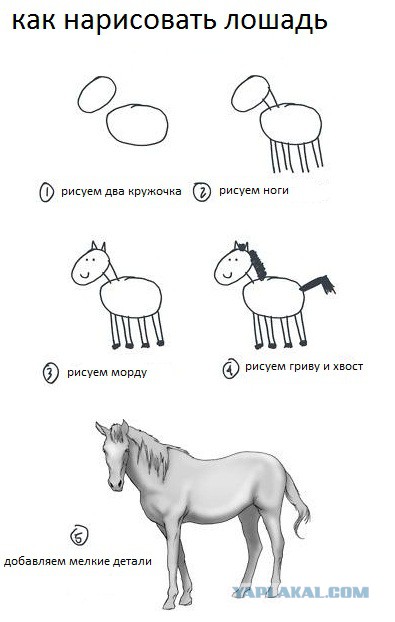 И снова о том как рисуют сов