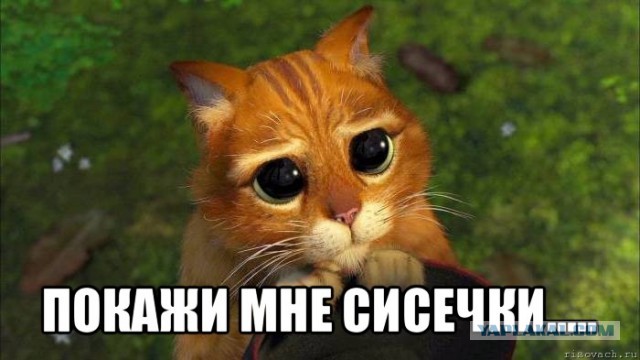 Она существует