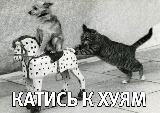 Путин и Донбасс