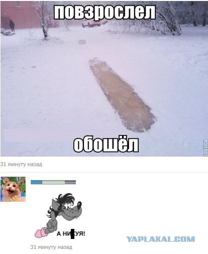Приколюшки