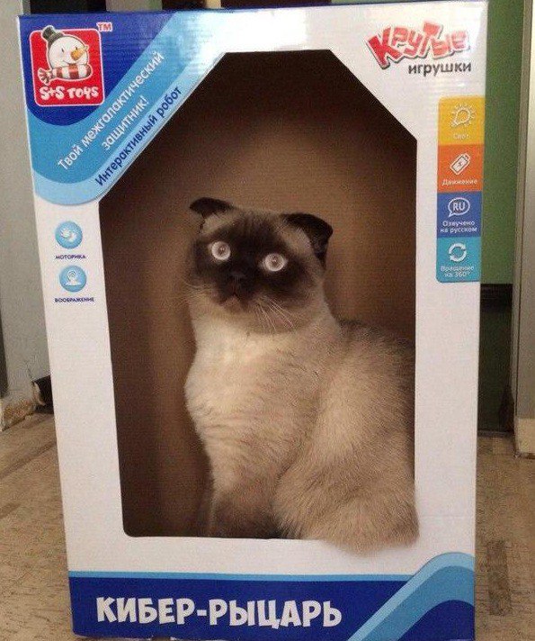 Смешные картинки из сети