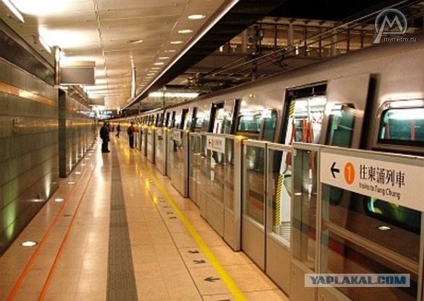 Коллапс на станции «Выхино»: пассажир погиб, упав под поезд метро
