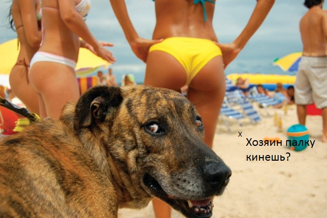 Подборка интересных и веселых картинок