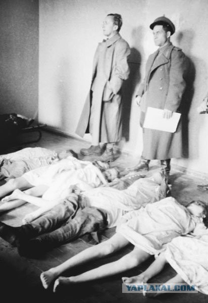 Фотографии к "Нахальному минированию" и "Лехе"