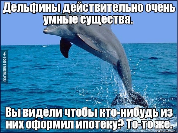 Смешные комментарии из социальных сетей 21.04.2017