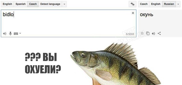 Журнал деградант