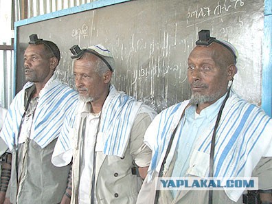 Антрополог Дробышевский об интеллекте разных рас