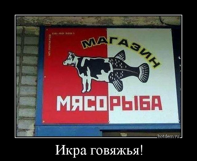 Картинок и Демотиваторов Всяких