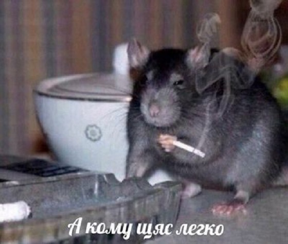 Адекват - не наш формат!