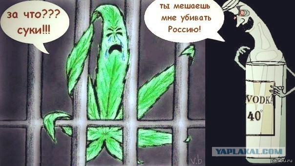 В Саянске дочь заперла пьющую мать дома, чтобы та не пошла за добавкой горячительного, но женщину это не остановило 16+