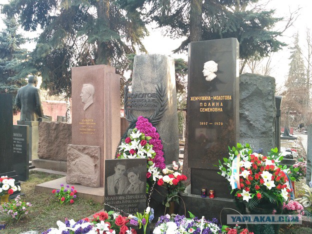 Новодевичье