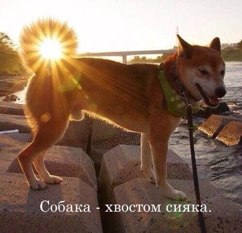 Фото, которые больше похожи на фейк, но они настоящие