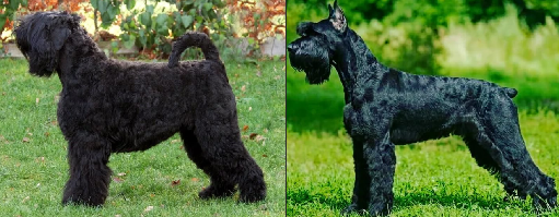 Искушение