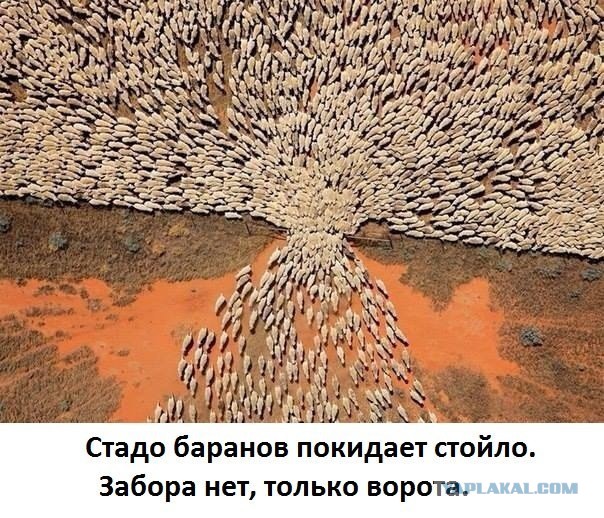 Люди собрались против взимания платы за проезд по М-4