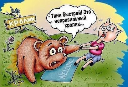 Для любителей мультиков