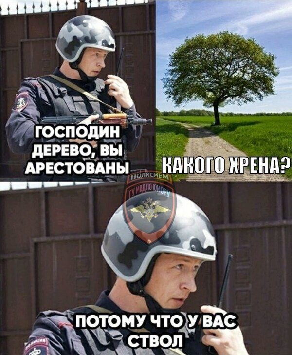 Бредзона картиночная