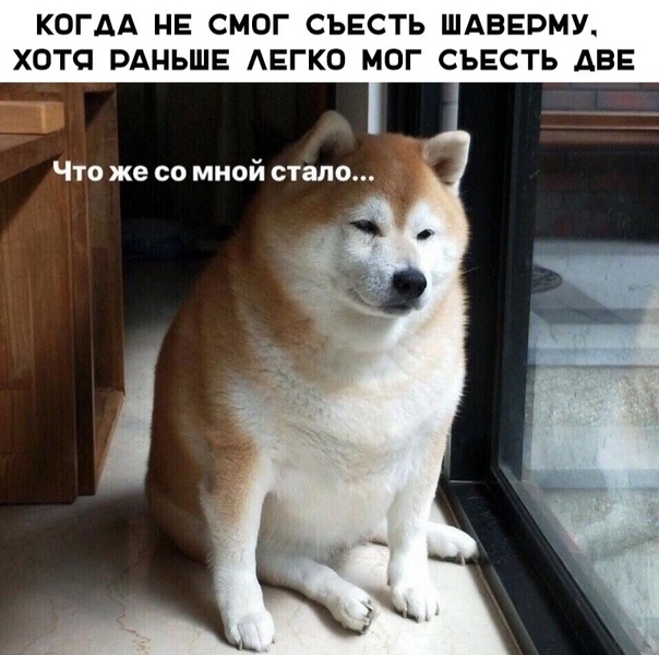Картиношный винегрет с щепоткой упоротого юмора