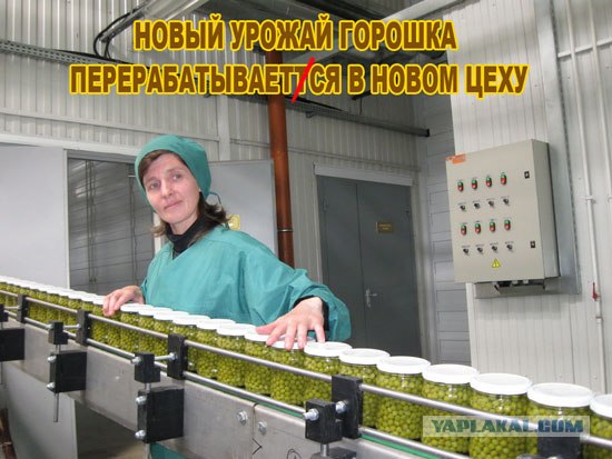 Высшая школа рекламы и дизигна