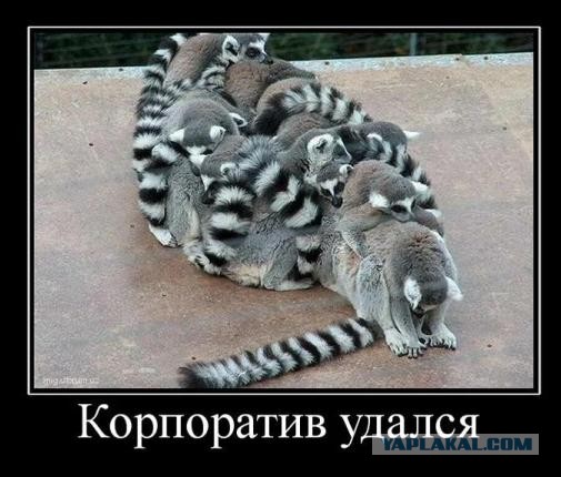 Истории от людей, чей новогодний корпоратив удался на славу