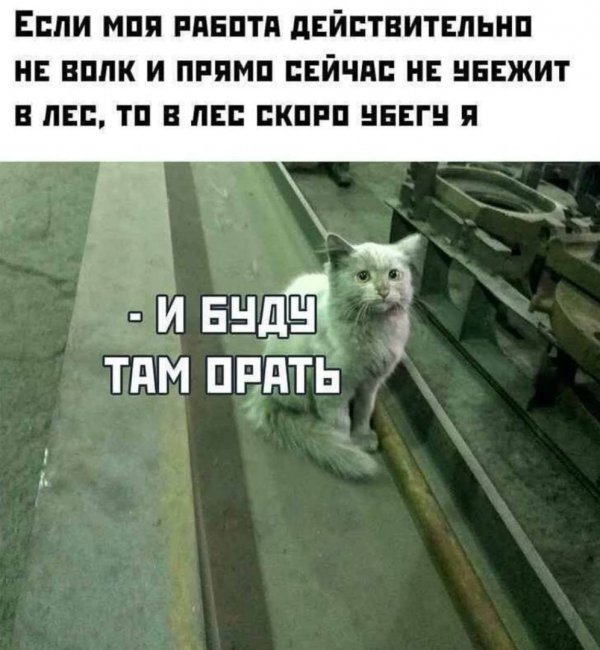 Бредзона 22.01.2020