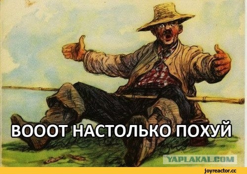 Лошадь утирает слезу